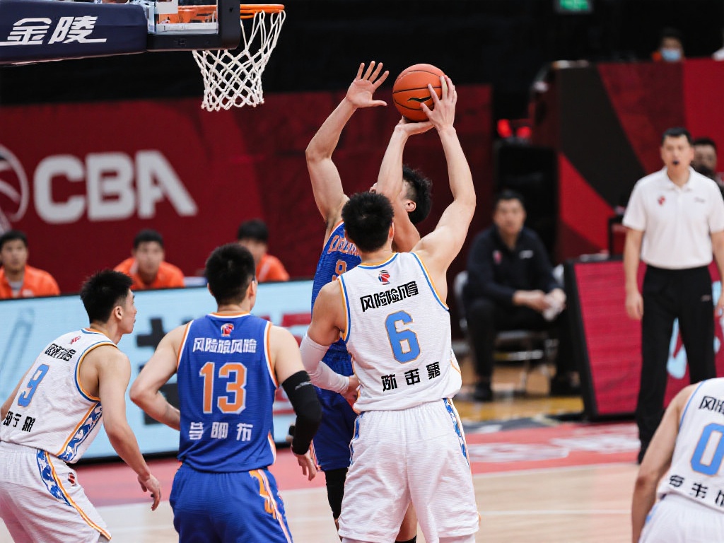 用户都可以 用户都可以